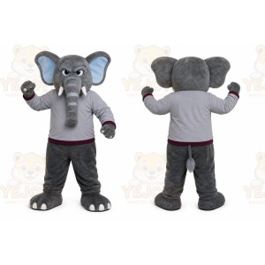 Gray Elephant Mascot Costume with Custom Logo
