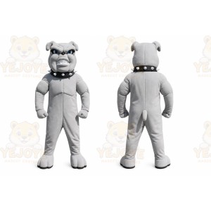 Gray Bulldog Mascot Costume with Custom Logo