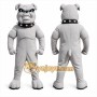 Gray Bulldog Mascot Costume with Custom Logo