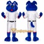 Blue Dog Mascot Costume with Custom Logo