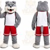 Gray Dog Mascot Costume with Custom Logo