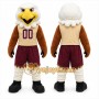 Brown Eagle Mascot Costume with Custom Logo