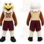 Brown Eagle Mascot Costume with Custom Logo