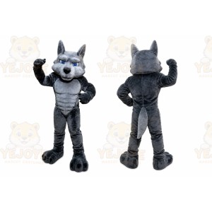 Gray Wolf Mascot Costume with Custom Logo