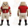 Tan Bulldog Mascot Costume with Custom Logo