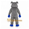Gray Dog Mascot Costume with Custom Logo