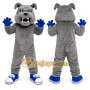 Gray Dog Mascot Costume with Custom Logo