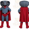 Gray Snake Mascot Costume with Custom Logo