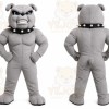 Gray Bulldog Mascot Costume with Custom Logo