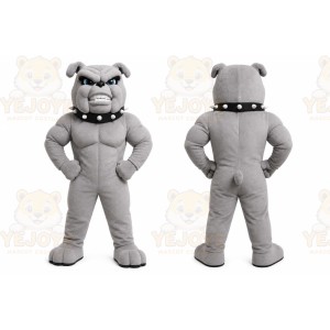 Gray Bulldog Mascot Costume with Custom Logo