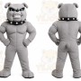 Gray Bulldog Mascot Costume with Custom Logo