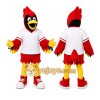Red Bird Mascot Costume with Custom Logo