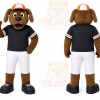Brown Dog Mascot Costume with Custom Logo