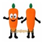 Orange Carrot Mascot Costume with Custom Logo