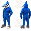 Blue Bird Mascot Costume with Custom Logo