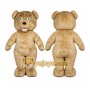 Brown Bear Mascot Costume with Custom Logo