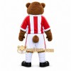 Brown Bear Mascot Costume with Custom Logo Brown Bear Mascot Costume with Custom Logo