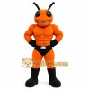 Orange Insect Mascot Costume with Custom Logo Orange Insect Mascot Costume with Custom Logo