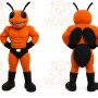 Orange Insect Mascot Costume with Custom Logo