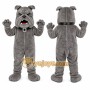 Gray Dog Mascot Costume with Custom Logo