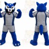 Orange Tiger Mascot Costume with Custom Logo