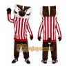 Brown Badger Mascot Costume with Custom Logo