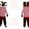Brown Badger Mascot Costume with Custom Logo