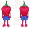 Red Strawberry Mascot Costume with Custom Logo