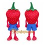 Red Strawberry Mascot Costume with Custom Logo