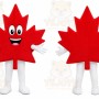 Red Leaf Mascot Costume with Custom Logo