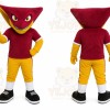 Red Bird Mascot Costume with Custom Logo