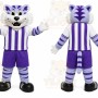 Purple Tiger Mascot Costume with Custom Logo