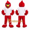 Red Bird Mascot Costume with Custom Logo