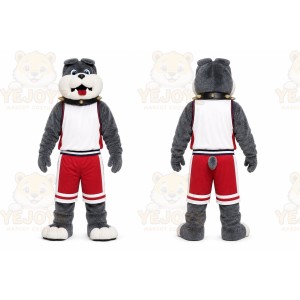 Gray Dog Mascot Costume with Custom Logo
