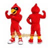 Red Bird Mascot Costume with Custom Logo Red Bird Mascot Costume with Custom Logo