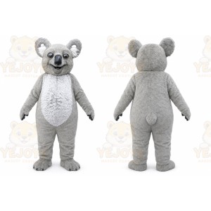 Gray Koala Mascot Costume with Custom Logo
