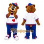 Brown Bear Mascot Costume for Sports Events