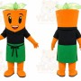 Orange Flower Pot Mascot Costume for Events and Promotions