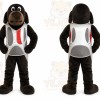 Black Dog Mascot Costume for Events and Promotions