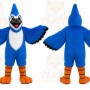 Blue Blue Jay Mascot Costume for Events and Promotions