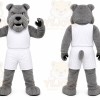 Gray Bulldog Mascot Costume for Sports Events
