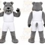 Gray Bulldog Mascot Costume for Sports Events