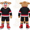 Brown Bull Mascot Costume for Sports Events