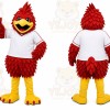 Red Bird Mascot Costume for Sports Events