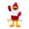 Red Bird Mascot Costume for Sports Events