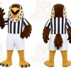 Brown Bird Mascot Costume for Sports Events