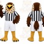 Brown Bird Mascot Costume for Sports Events