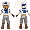 Gray Cowboy Mascot Costume for Sports Events