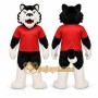 Black Wolf Mascot Costume for Sports Events
