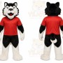 Black Wolf Mascot Costume for Sports Events